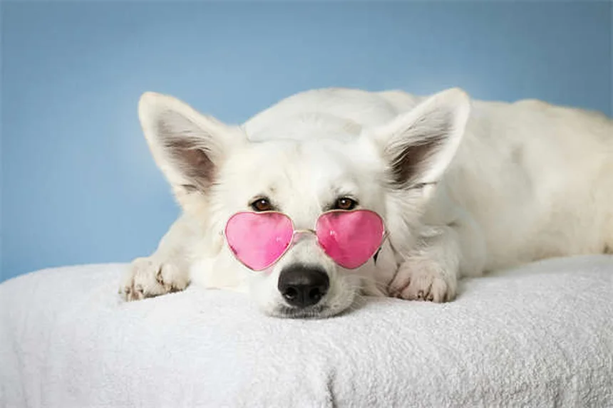 Ford's Employee Pricing for All: Smart Deal or Clever Marketing?